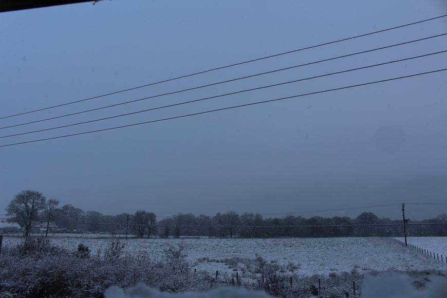 Snow Little Wyvis
