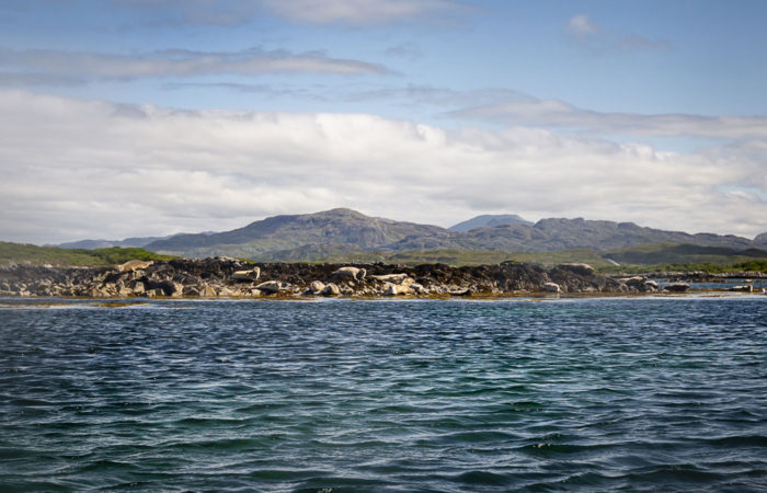 sea kayaking Arisaig